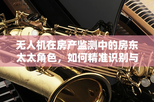 无人机在房产监测中的房东太太角色，如何精准识别与预防屋顶漏水？