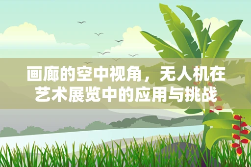 画廊的空中视角，无人机在艺术展览中的应用与挑战