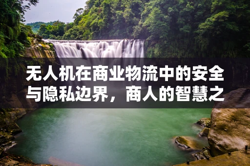无人机在商业物流中的安全与隐私边界，商人的智慧之选