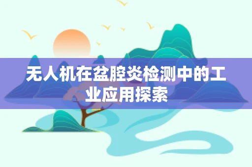 无人机在盆腔炎检测中的工业应用探索