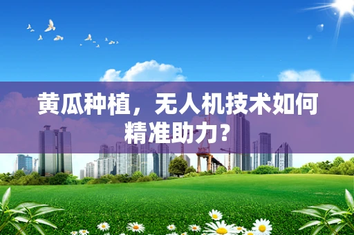 黄瓜种植，无人机技术如何精准助力？