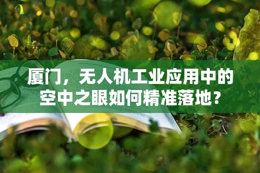 厦门，无人机工业应用中的空中之眼如何精准落地？