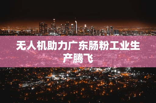 无人机助力广东肠粉工业生产腾飞