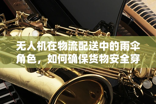 无人机在物流配送中的雨伞角色，如何确保货物安全穿越风雨？