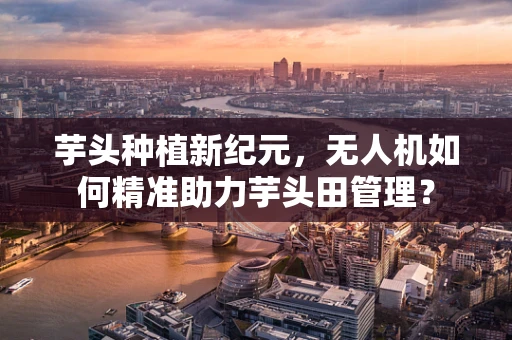 芋头种植新纪元，无人机如何精准助力芋头田管理？