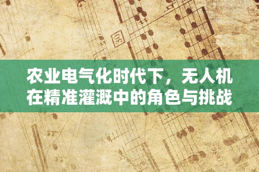 农业电气化时代下，无人机在精准灌溉中的角色与挑战？