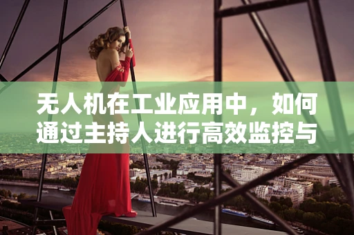 无人机在工业应用中，如何通过主持人进行高效监控与调度？