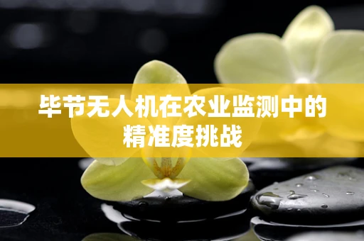 毕节无人机在农业监测中的精准度挑战