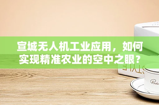 宣城无人机工业应用，如何实现精准农业的空中之眼？