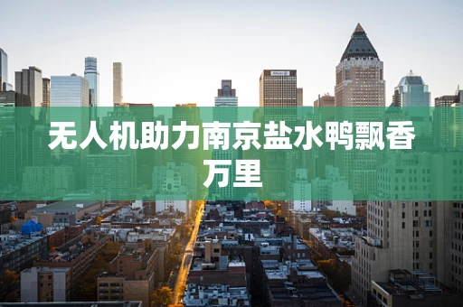 无人机助力南京盐水鸭飘香万里