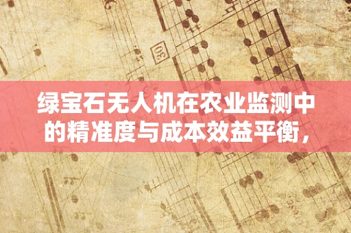 绿宝石无人机在农业监测中的精准度与成本效益平衡，如何实现？