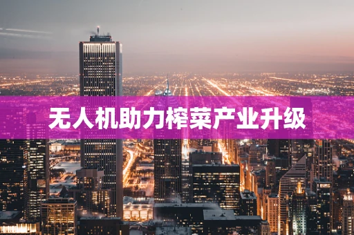 无人机助力榨菜产业升级