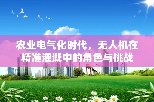 农业电气化时代，无人机在精准灌溉中的角色与挑战