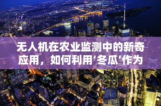 无人机在农业监测中的新奇应用，如何利用‘冬瓜’作为智能标识？