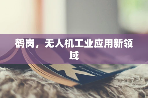 鹤岗，无人机工业应用新领域