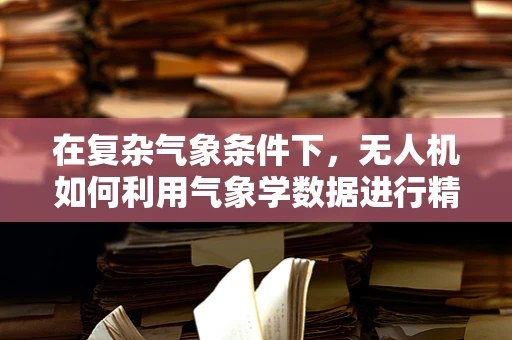 在复杂气象条件下，无人机如何利用气象学数据进行精准导航？