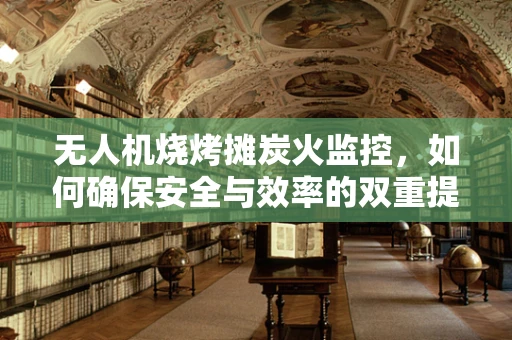 无人机烧烤摊炭火监控，如何确保安全与效率的双重提升？