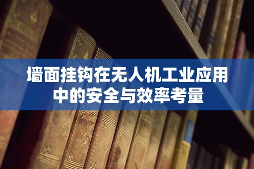 墙面挂钩在无人机工业应用中的安全与效率考量