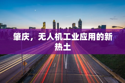 肇庆，无人机工业应用的新热土