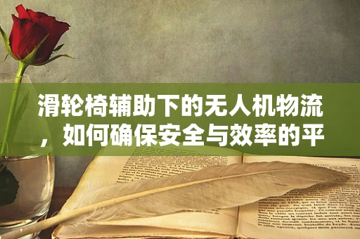 滑轮椅辅助下的无人机物流，如何确保安全与效率的平衡？