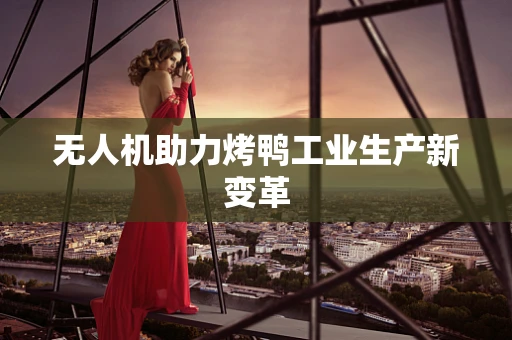无人机助力烤鸭工业生产新变革