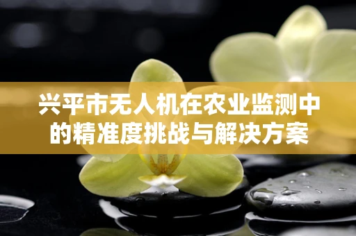 兴平市无人机在农业监测中的精准度挑战与解决方案