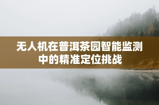 无人机在普洱茶园智能监测中的精准定位挑战