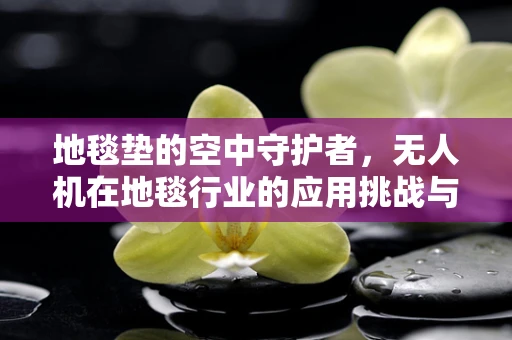 地毯垫的空中守护者，无人机在地毯行业的应用挑战与解决方案