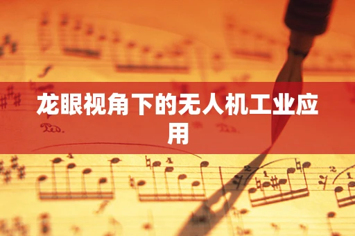 龙眼视角下的无人机工业应用