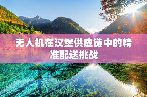 无人机在汉堡供应链中的精准配送挑战
