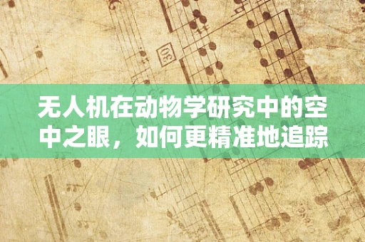 无人机在动物学研究中的空中之眼，如何更精准地追踪野生动物？