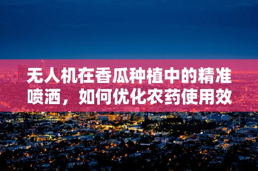无人机在香瓜种植中的精准喷洒，如何优化农药使用效率？