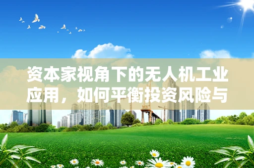 资本家视角下的无人机工业应用，如何平衡投资风险与技术创新？