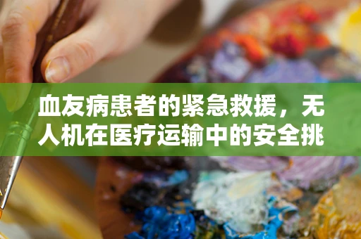 血友病患者的紧急救援，无人机在医疗运输中的安全挑战与解决方案