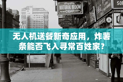 无人机送餐新奇应用，炸薯条能否飞入寻常百姓家？
