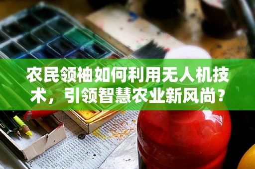 农民领袖如何利用无人机技术，引领智慧农业新风尚？