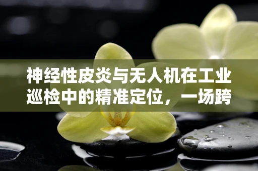神经性皮炎与无人机在工业巡检中的精准定位，一场跨界挑战