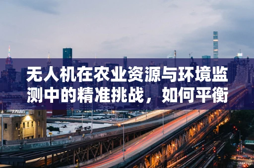 无人机在农业资源与环境监测中的精准挑战，如何平衡效率与精度？