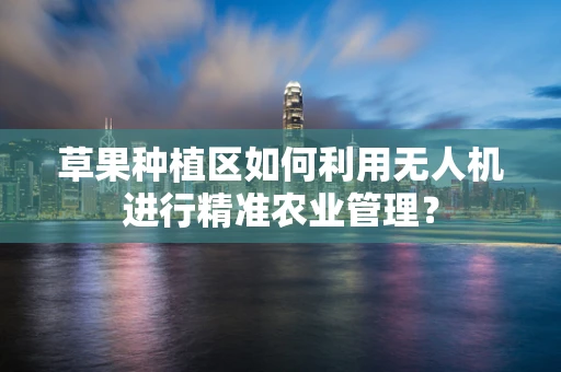 草果种植区如何利用无人机进行精准农业管理？