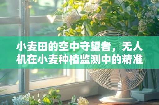小麦田的空中守望者，无人机在小麦种植监测中的精准挑战