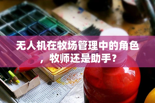 无人机在牧场管理中的角色，牧师还是助手？