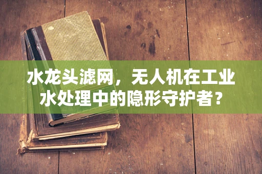水龙头滤网，无人机在工业水处理中的隐形守护者？
