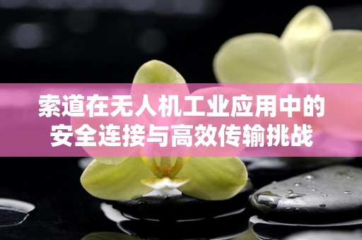 索道在无人机工业应用中的安全连接与高效传输挑战