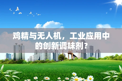 鸡精与无人机，工业应用中的创新调味剂？