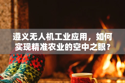 遵义无人机工业应用，如何实现精准农业的空中之眼？