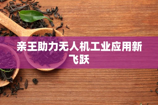 亲王助力无人机工业应用新飞跃