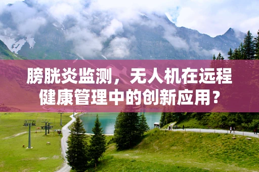 膀胱炎监测，无人机在远程健康管理中的创新应用？