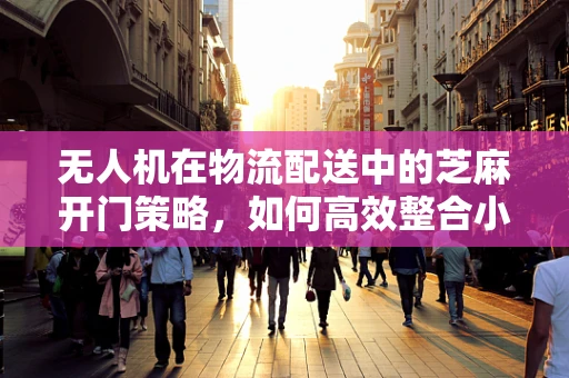 无人机在物流配送中的芝麻开门策略，如何高效整合小型包裹？