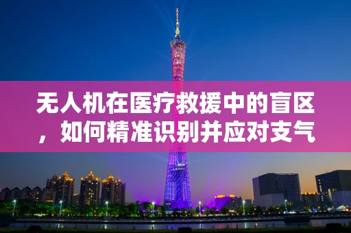 无人机在医疗救援中的盲区，如何精准识别并应对支气管肺炎病例？