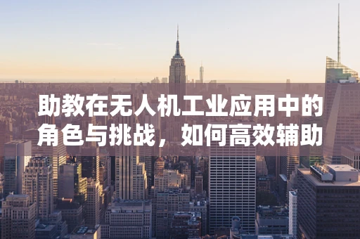 助教在无人机工业应用中的角色与挑战，如何高效辅助教学与培训？